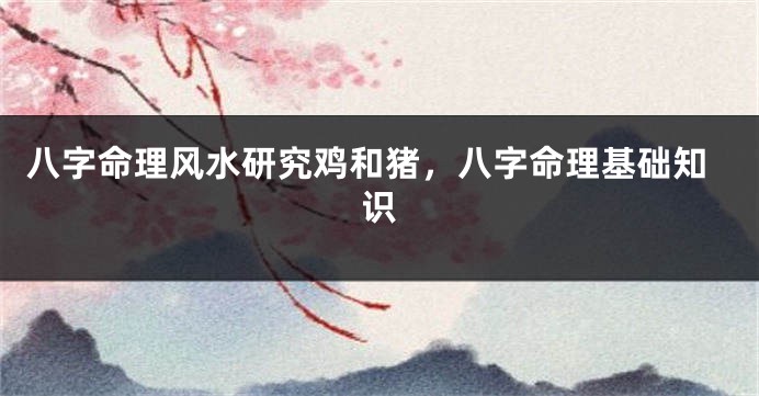 八字命理风水研究鸡和猪，八字命理基础知识