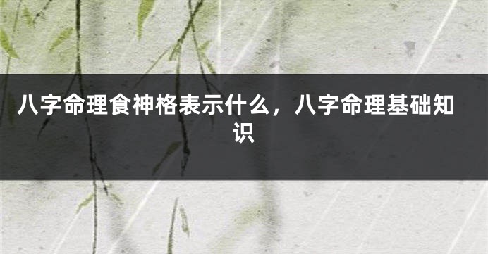 八字命理食神格表示什么,八字命理基础知识