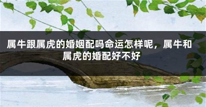 属牛跟属虎的婚姻配吗命运怎样呢，属牛和属虎的婚配好不好
