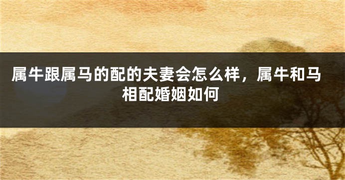 属牛跟属马的配的夫妻会怎么样，属牛和马相配婚姻如何