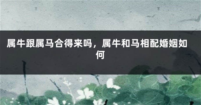 属牛跟属马合得来吗，属牛和马相配婚姻如何
