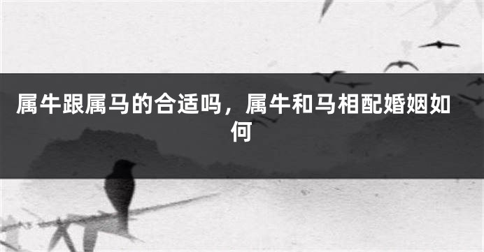 属牛跟属马的合适吗，属牛和马相配婚姻如何