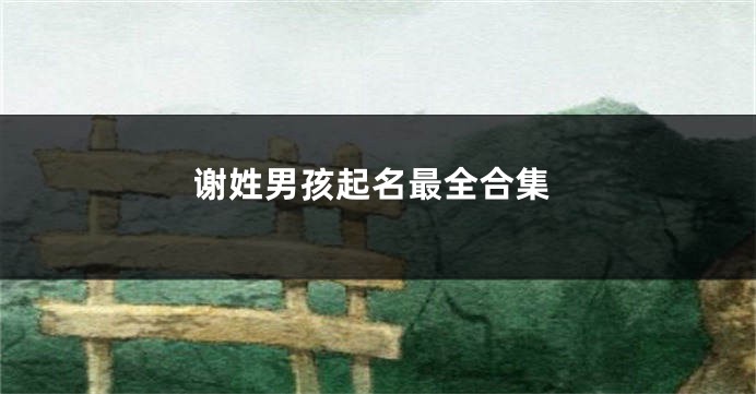 谢姓男孩起名最全合集