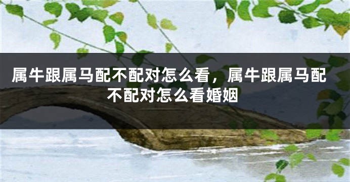 属牛跟属马配不配对怎么看，属牛跟属马配不配对怎么看婚姻