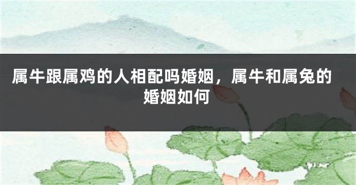 属牛跟属鸡的人相配吗婚姻,属牛和属兔的婚姻如何