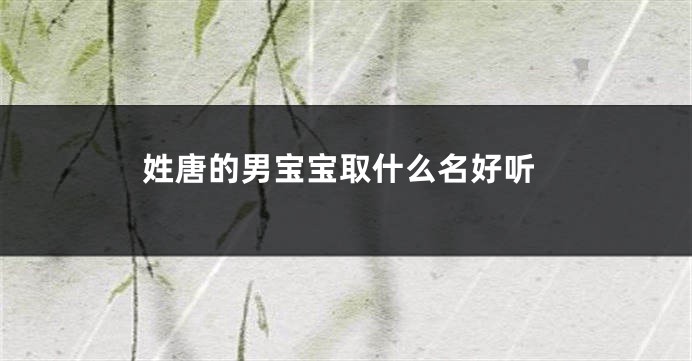 姓唐的男宝宝取什么名好听