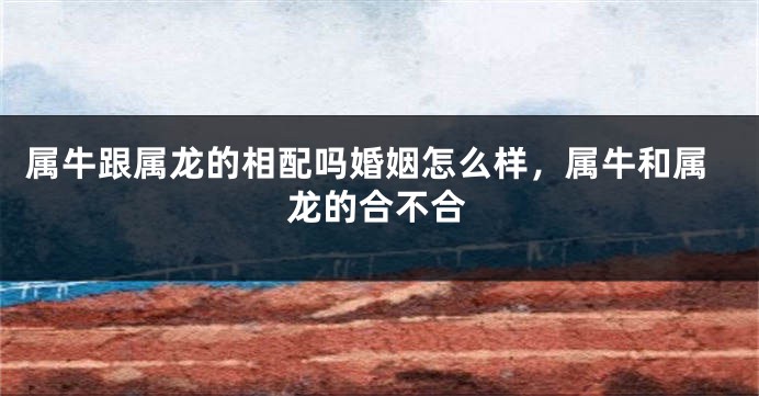属牛跟属龙的相配吗婚姻怎么样，属牛和属龙的合不合