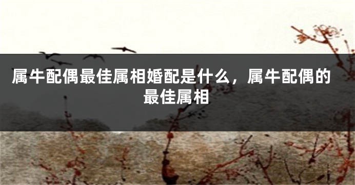 属牛配偶最佳属相婚配是什么，属牛配偶的最佳属相