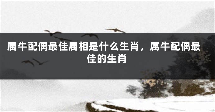 属牛配偶最佳属相是什么生肖，属牛配偶最佳的生肖