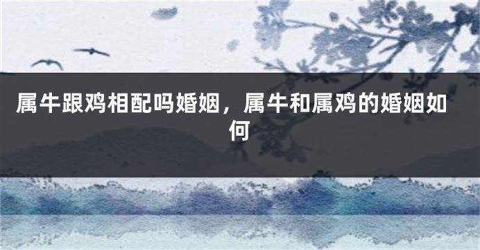 属牛跟鸡相配吗婚姻，属牛和属鸡的婚姻如何
