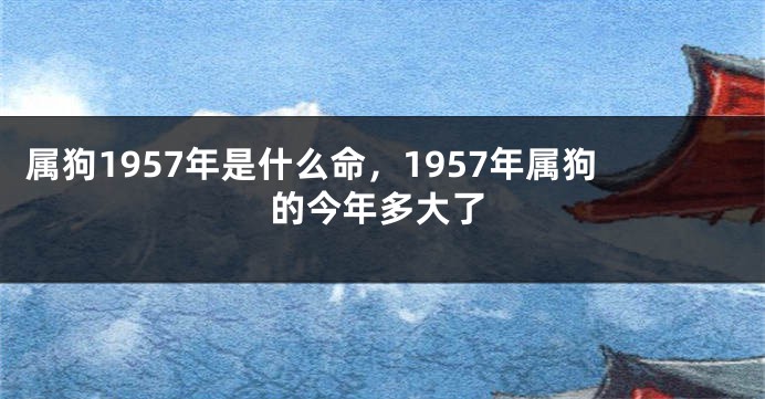 属狗1957年是什么命，1957年属狗的今年多大了