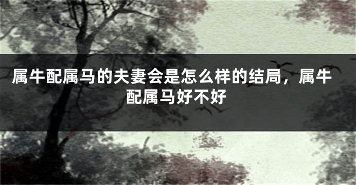 属牛配属马的夫妻会是怎么样的结局，属牛配属马好不好