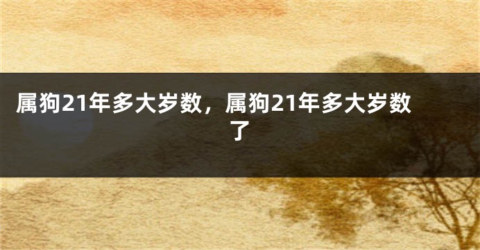 属狗21年多大岁数，属狗21年多大岁数了