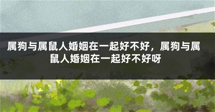 属狗与属鼠人婚姻在一起好不好，属狗与属鼠人婚姻在一起好不好呀