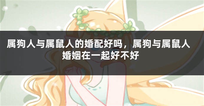 属狗人与属鼠人的婚配好吗，属狗与属鼠人婚姻在一起好不好
