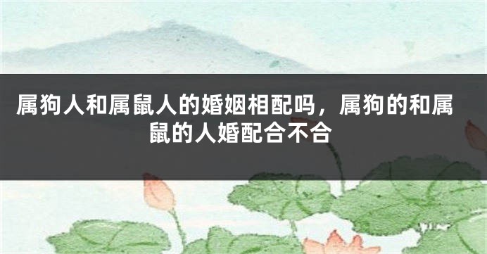 属狗人和属鼠人的婚姻相配吗，属狗的和属鼠的人婚配合不合
