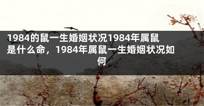 1984的鼠一生婚姻状况1984年属鼠是什么命，1984年属鼠一生婚姻状况如何
