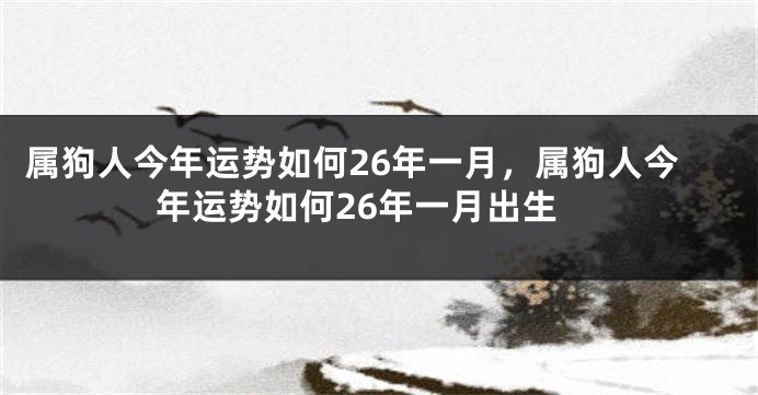 属狗人今年运势如何26年一月，属狗人今年运势如何26年一月出生