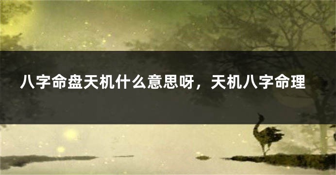 八字命盘天机什么意思呀，天机八字命理
