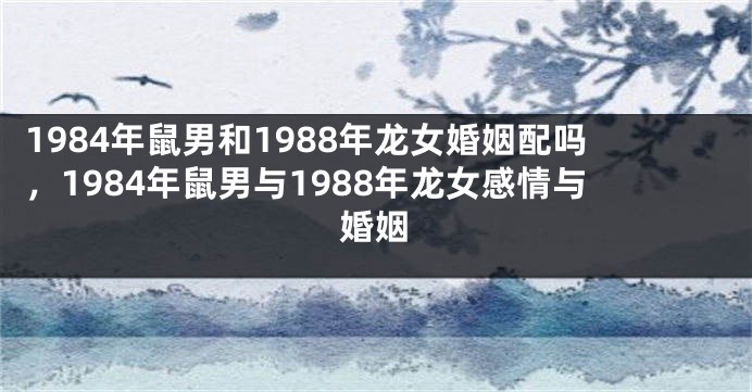 1984年鼠男和1988年龙女婚姻配吗，1984年鼠男与1988年龙女感情与婚姻