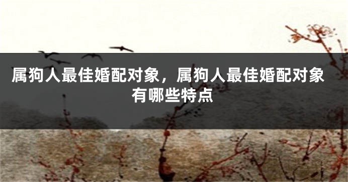 属狗人最佳婚配对象，属狗人最佳婚配对象有哪些特点