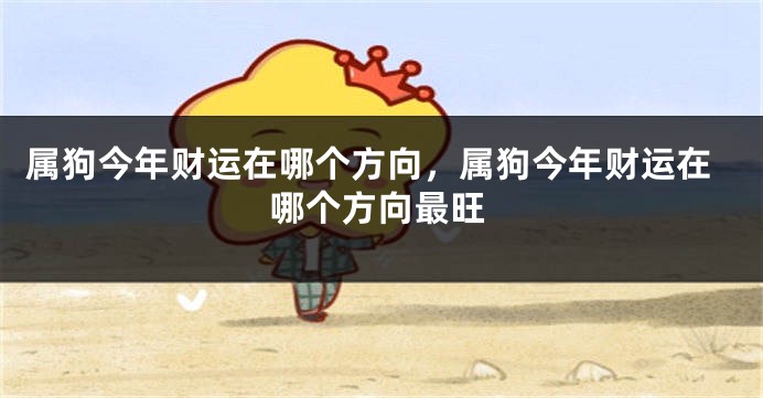 属狗今年财运在哪个方向，属狗今年财运在哪个方向最旺