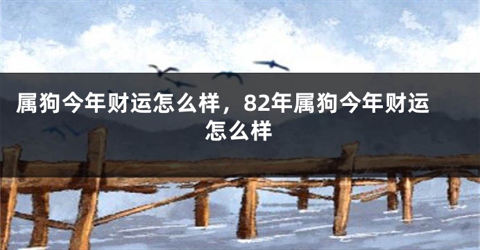 属狗今年财运怎么样，82年属狗今年财运怎么样
