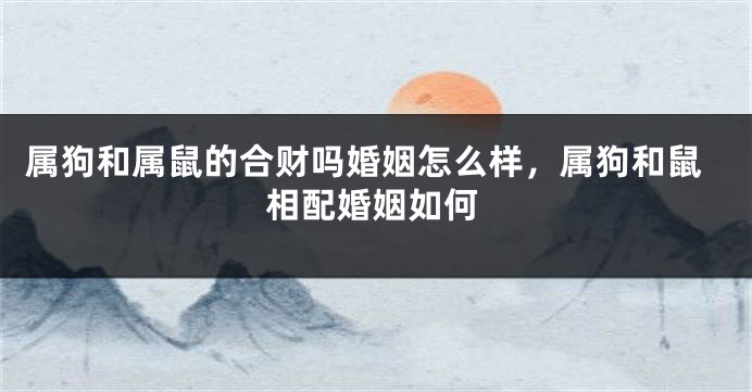 属狗和属鼠的合财吗婚姻怎么样，属狗和鼠相配婚姻如何