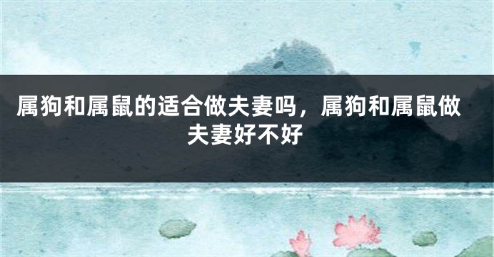 属狗和属鼠的适合做夫妻吗，属狗和属鼠做夫妻好不好