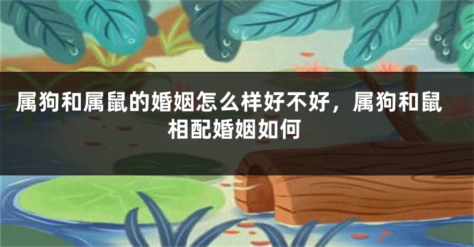 属狗和属鼠的婚姻怎么样好不好，属狗和鼠相配婚姻如何
