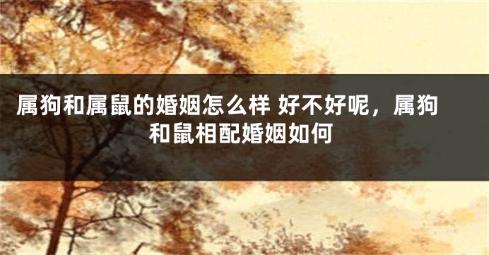 属狗和属鼠的婚姻怎么样 好不好呢，属狗和鼠相配婚姻如何