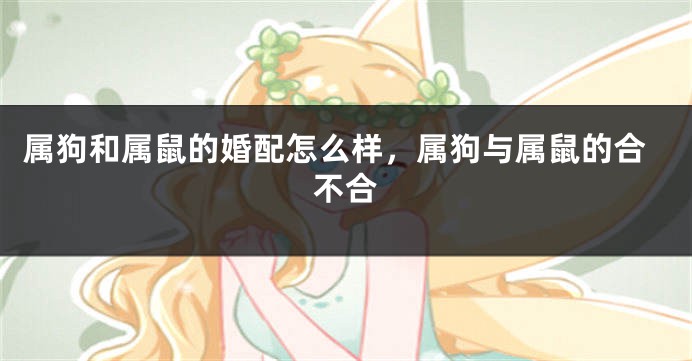 属狗和属鼠的婚配怎么样，属狗与属鼠的合不合
