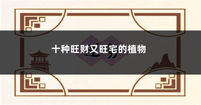 十种旺财又旺宅的植物
