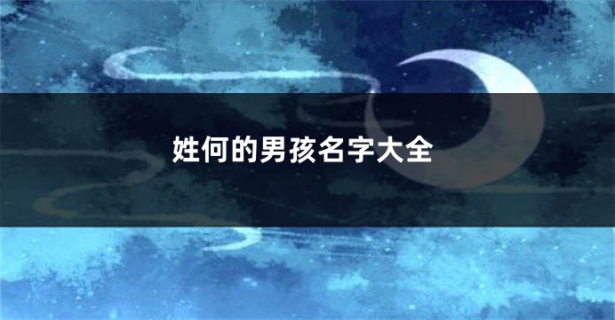 姓何的男孩名字大全