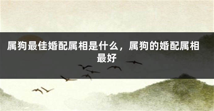 属狗最佳婚配属相是什么，属狗的婚配属相最好