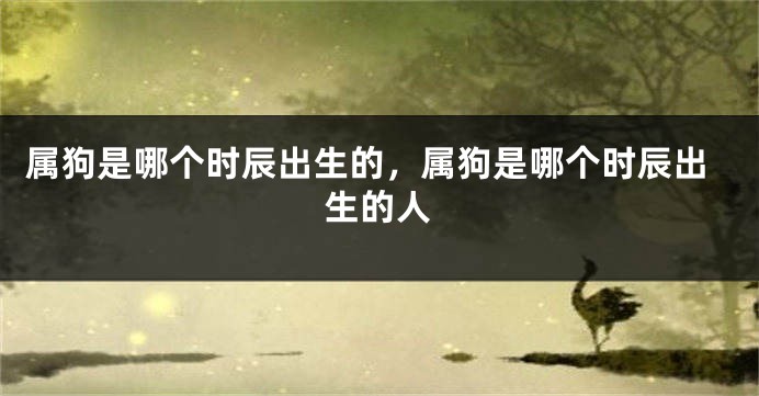 属狗是哪个时辰出生的，属狗是哪个时辰出生的人