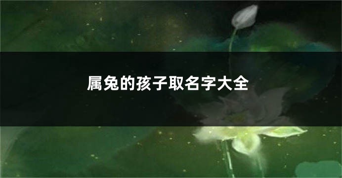 属兔的孩子取名字大全