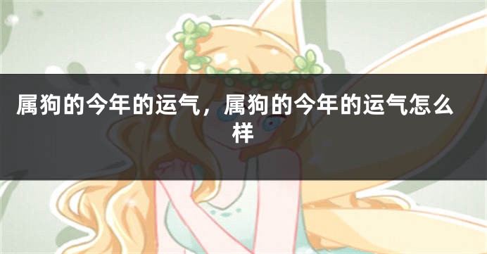 属狗的今年的运气，属狗的今年的运气怎么样