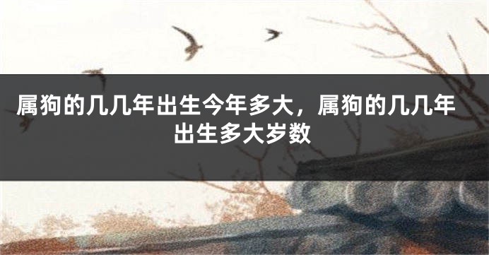 属狗的几几年出生今年多大，属狗的几几年出生多大岁数