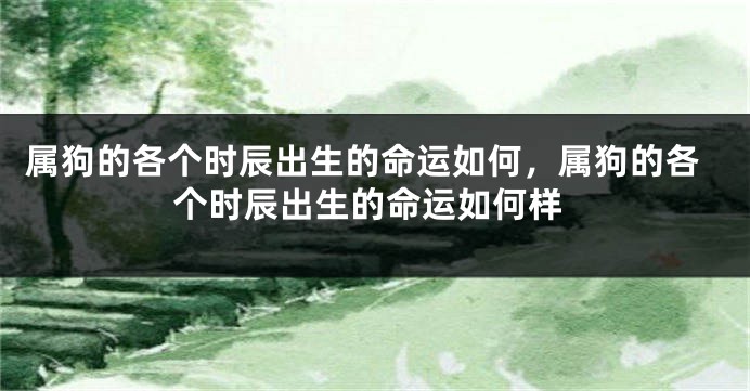 属狗的各个时辰出生的命运如何，属狗的各个时辰出生的命运如何样