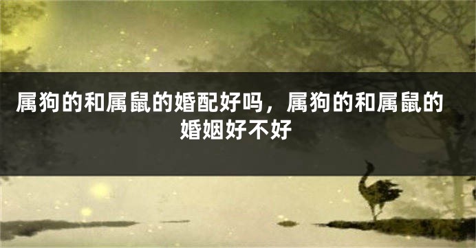 属狗的和属鼠的婚配好吗，属狗的和属鼠的婚姻好不好