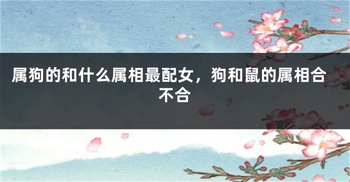 属狗的和什么属相最配女，狗和鼠的属相合不合