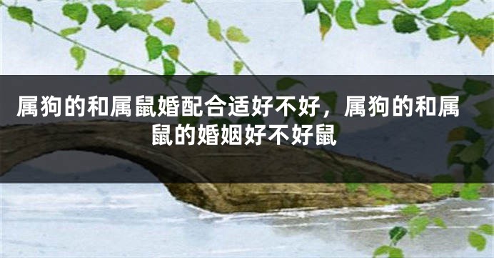 属狗的和属鼠婚配合适好不好，属狗的和属鼠的婚姻好不好鼠