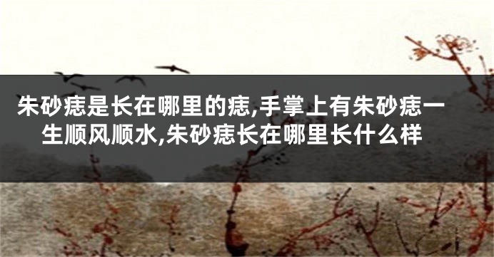 朱砂痣是长在哪里的痣,手掌上有朱砂痣一生顺风顺水,朱砂痣长在哪里长什么样