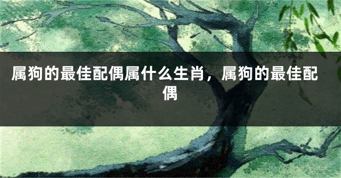 属狗的最佳配偶属什么生肖，属狗的最佳配偶