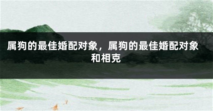 属狗的最佳婚配对象,属狗的最佳婚配对象和相克