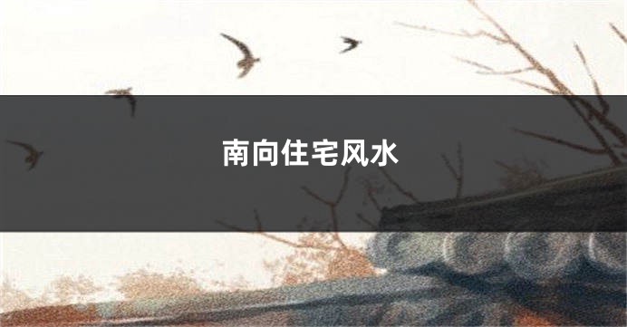 南向住宅风水