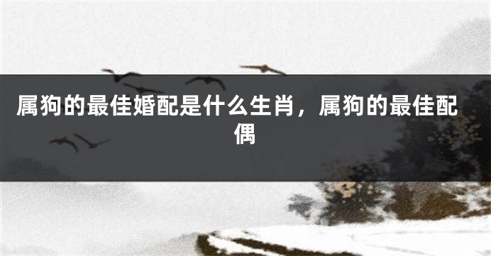 属狗的最佳婚配是什么生肖，属狗的最佳配偶