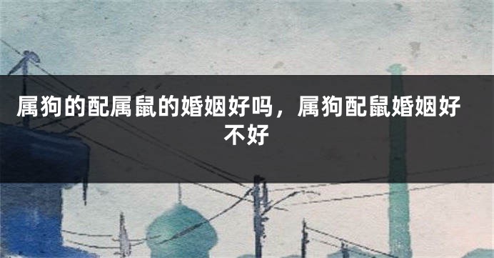 属狗的配属鼠的婚姻好吗，属狗配鼠婚姻好不好