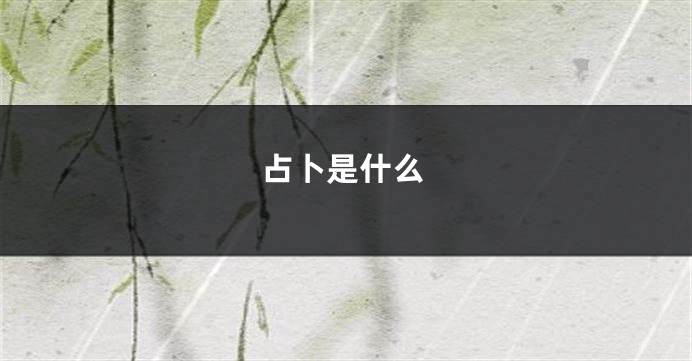 占卜是什么